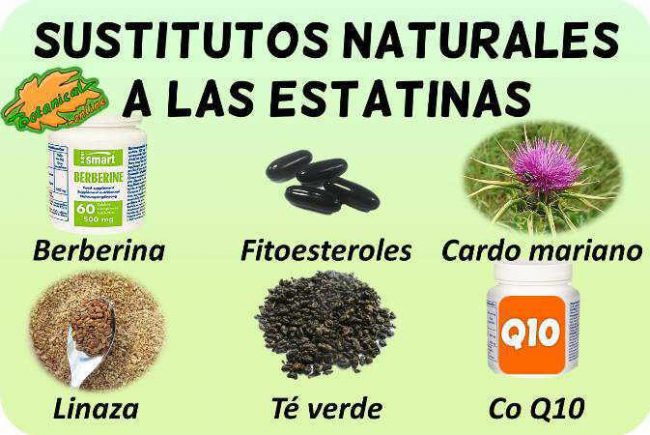 estatinas naturales sustitutos plantas suplementos