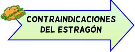 contraindicaciones del estragón