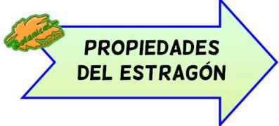 propiedades del estragon