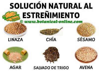 solucion natural al estreñimiento con plantas alimentos y dietas para el tratamiento casero