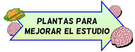 plantas para estudiar