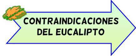 contraindicaciones del eucalipto