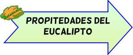 propiedades medicinales eucalipto