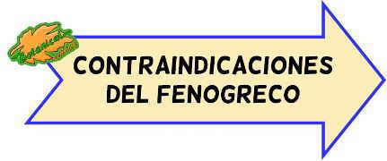 contraindicaciones del fenogreco