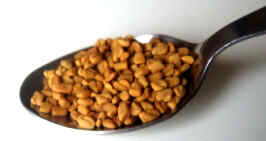 fenugreek diabetes fenogreco alholva