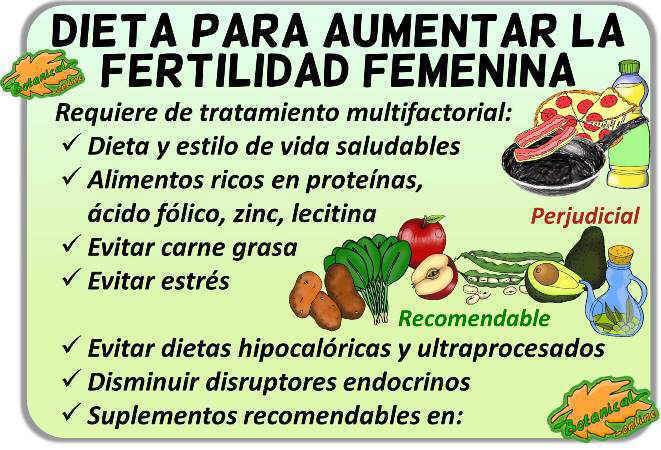 dieta fertilidad femenina alimentos fertil consejos embarazo