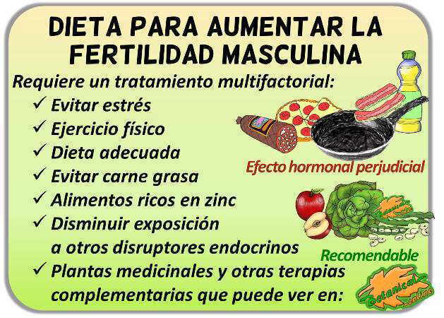 dieta fertilidad masculina hombres con infertilidad para ser fertiles