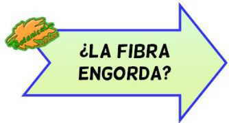 fibra engorda