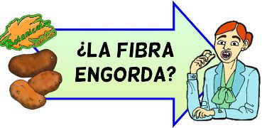 fibra engorda adelgaza