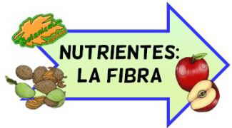 nutrientes fibra