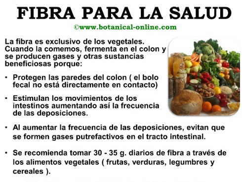 Propiedades de la fibra para la salud