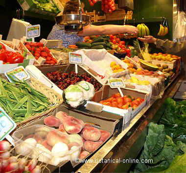 fibra alimentos