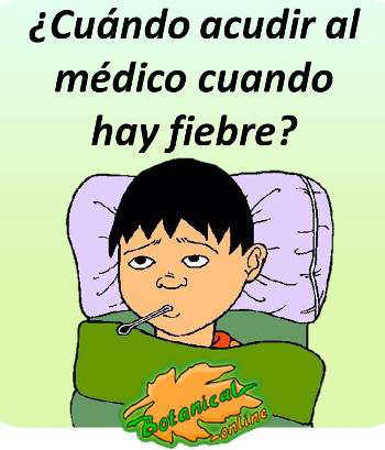 fiebre cuando acudir al medico