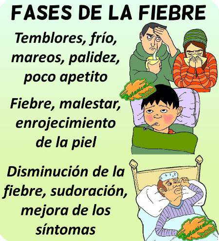 fases de la fiebre