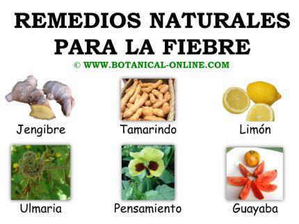 Remedios naturales para la fiebre