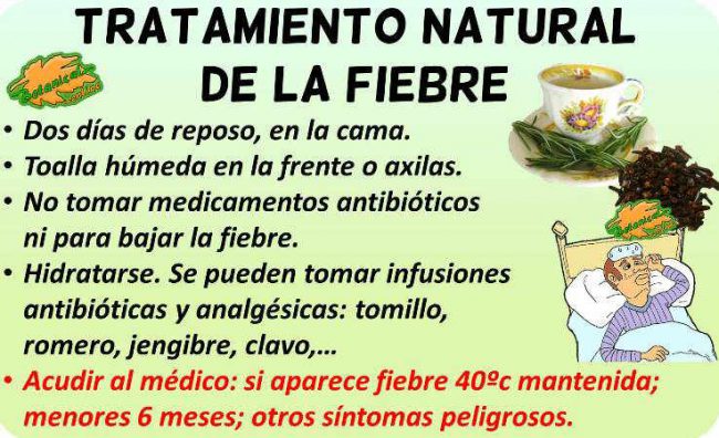 Remedios naturales para la fiebre – Botanical-online