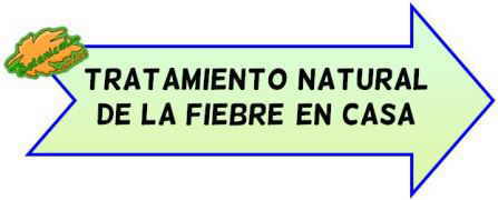 trtamiento natural fiebre en casa