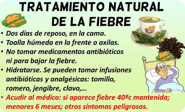 fiebre tratamiento natural