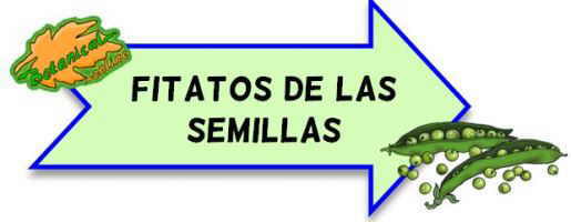 fitatos de las semillas