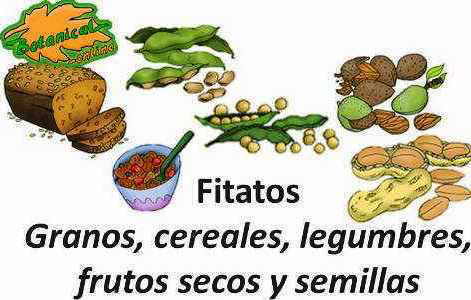 fitatos antinutrientes legumbres cereales avena frutos secos