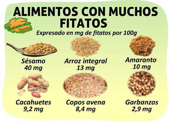 lista alimentos ricos en fitatos o acido fitico de la dieta