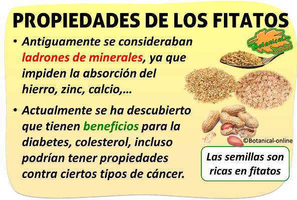 propiedades de los fitatos o acido fitico de los alimentos