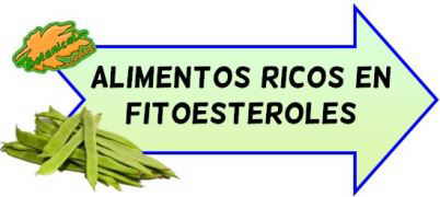 alimentos ricos fitoesteroles