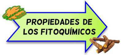 propiedades de los fitoquimicos