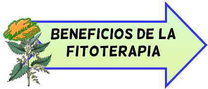 beneficios y ventajas de la fitoterapia