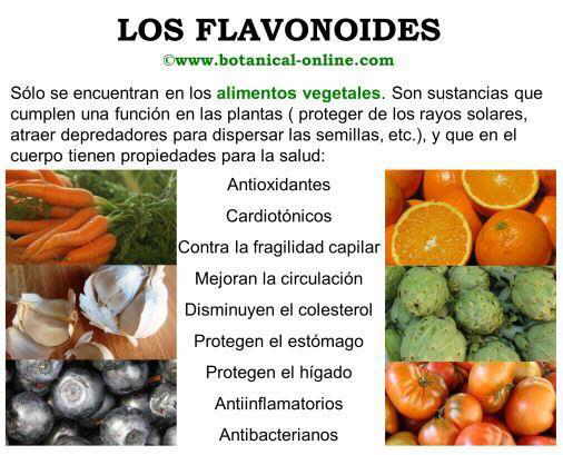 Propiedades de los flavonoides