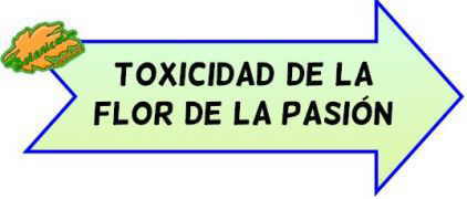 toxicidad pasionaria