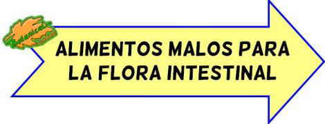 alimentos malos flora intestinal