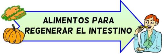 alimentos regenerar microbiota o flora intestinal