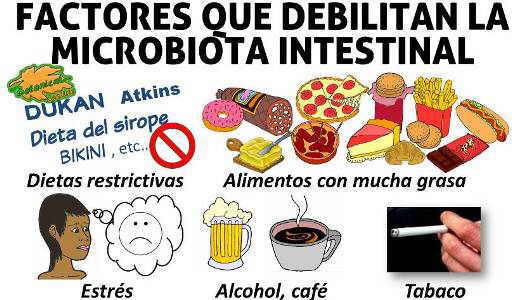 malos alimentos perjudiciales para la microbiota flora intestinal, disbiosis probioticos, prebioticos