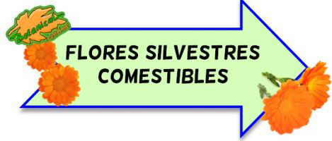 flores comestibles