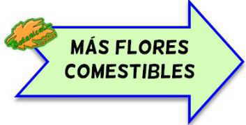 mas flores comestibles