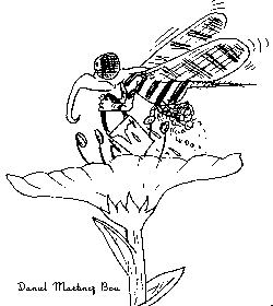 abeja recogiendo el nectar de la flor