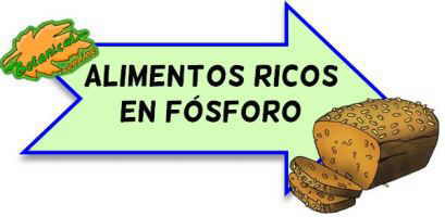 alimentos ricos en fosforo