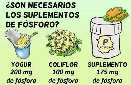 cantidad de fosforo alimentos ricos suplementos