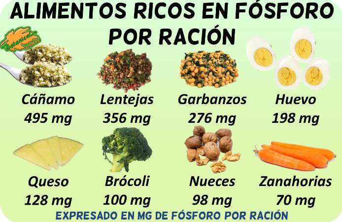 alimentos ricos en fosforo