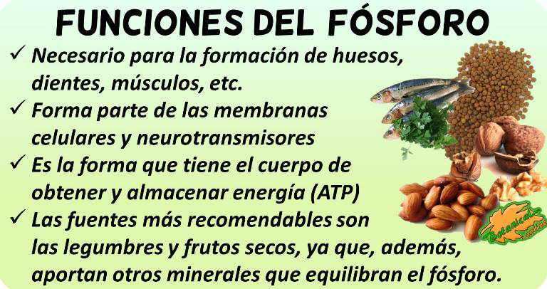 beneficios funciones y propiedades del fósforo