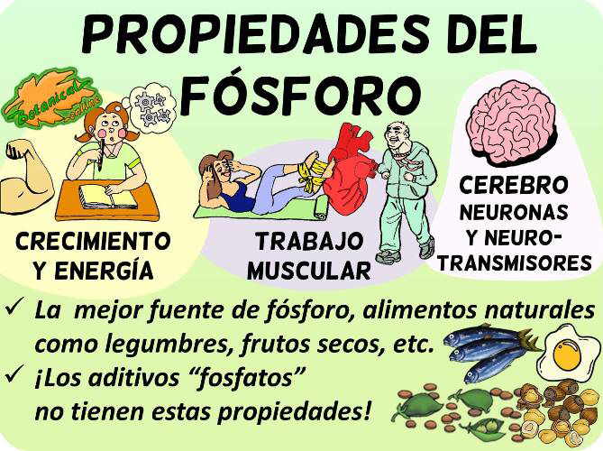 Propiedades del fósforo