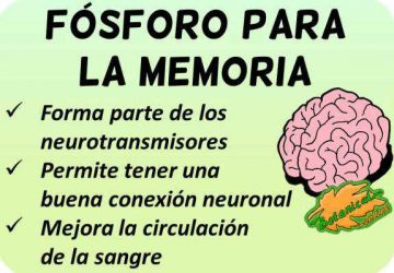 propiedades fosforo para la memoria