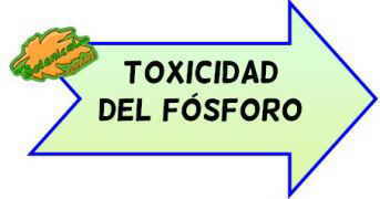 toxicidad del fósforo