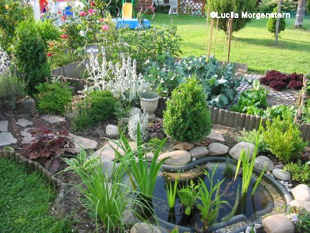 Tienes espacio? Construyamos un estanque en el jardín