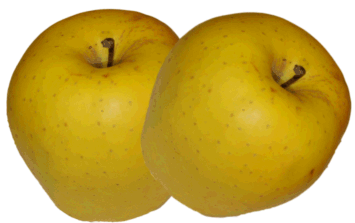 MANZANA