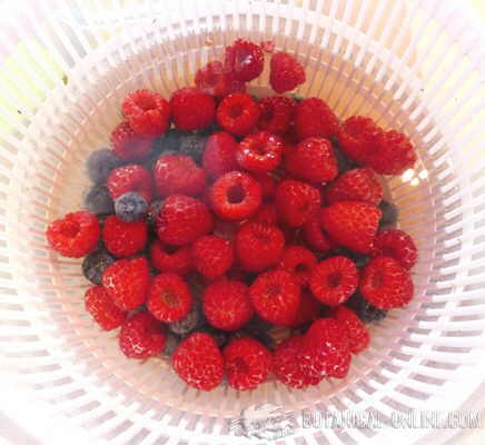 lavar frutas vinagre pesticidas