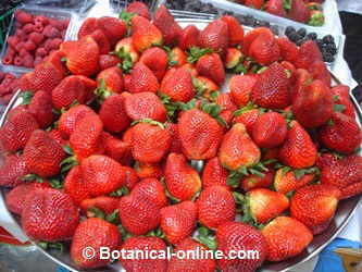 fresones y fresas en un mercado