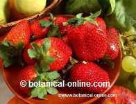fresas para la gastritis