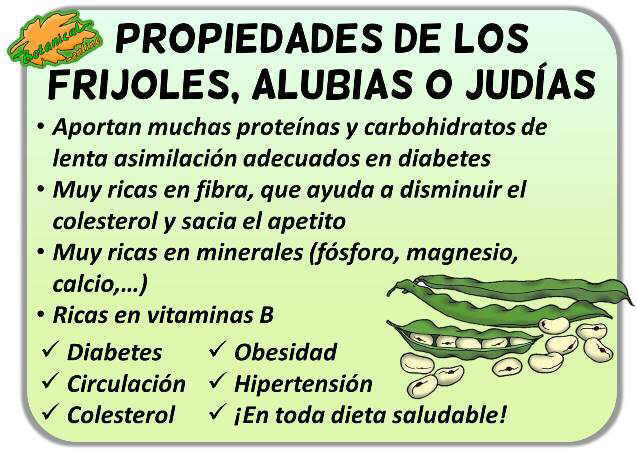 propiedades de los frijoles alubias habichuelas judias secas beneficios